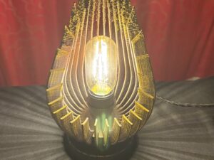 Vulcan Seed bespoke lamp